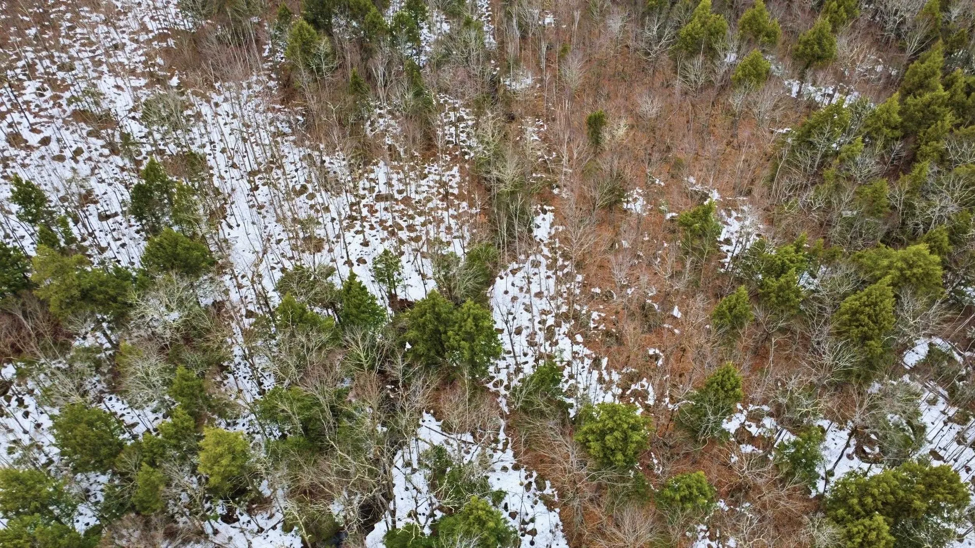 101-15-1 North Shore Road New Durham NH 03855