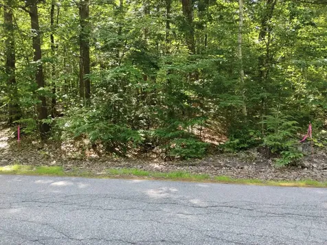 101-15-1 North Shore Road New Durham NH 03855