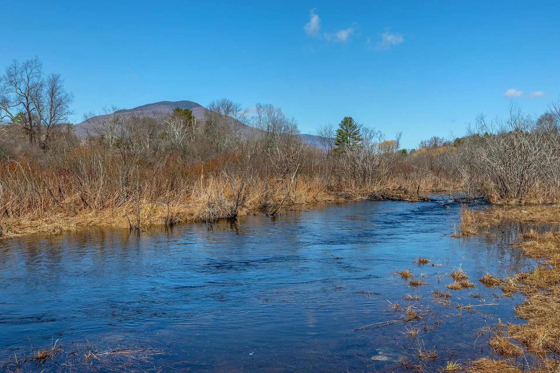 146 Clover Lane Manchester VT 05255