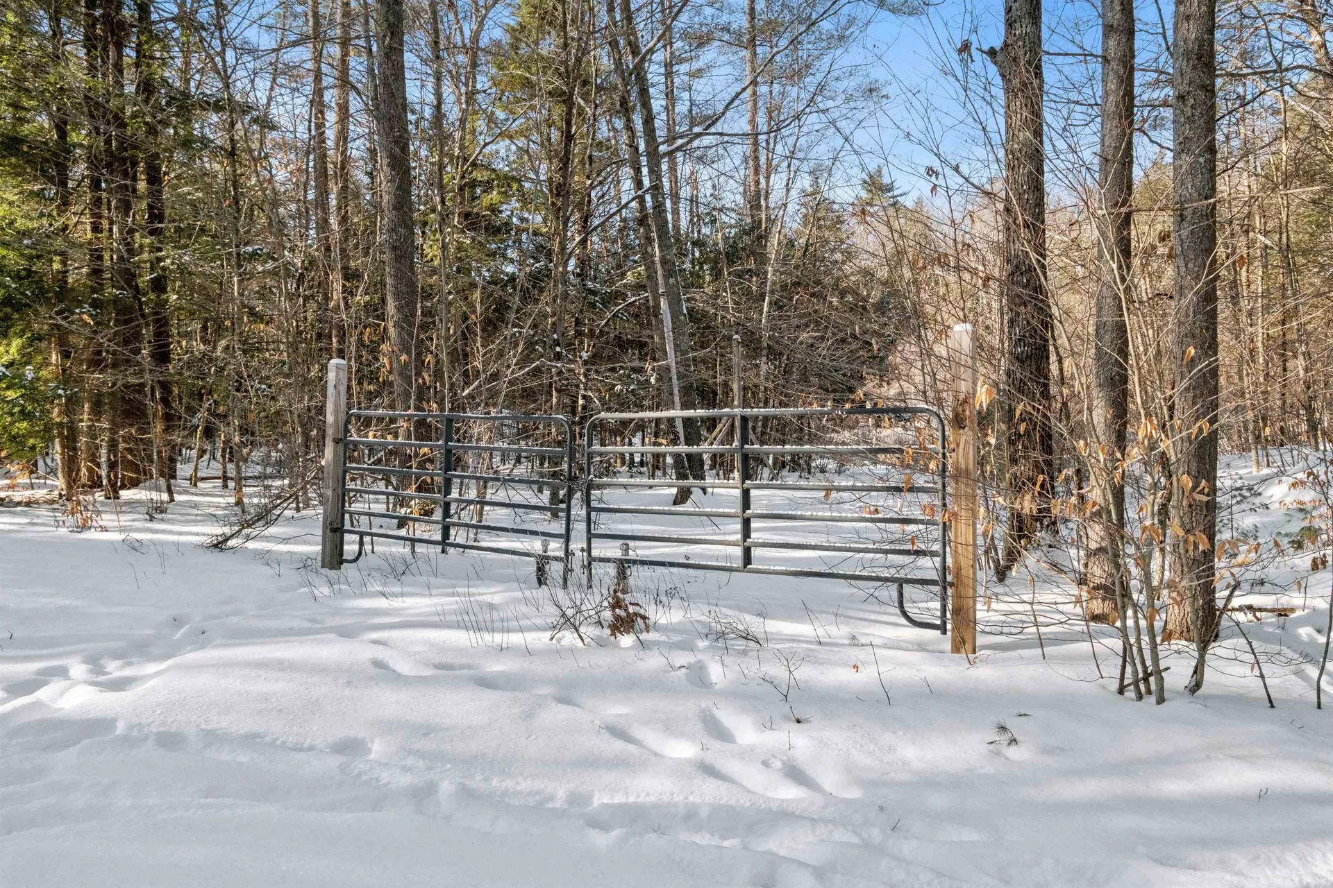 1482 River Road Bridgewater NH 03222