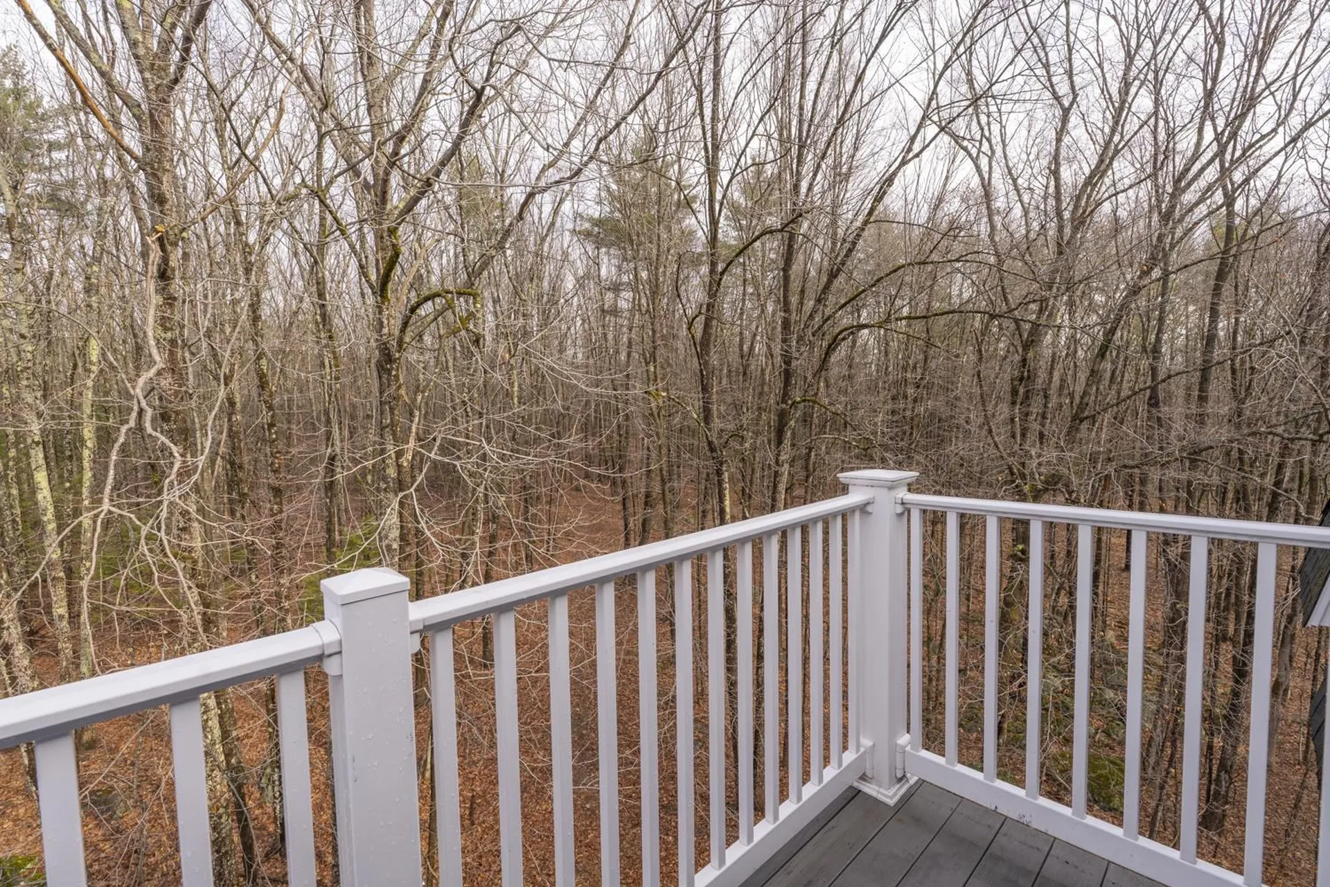 39 Ernest Avenue Exeter NH 03833