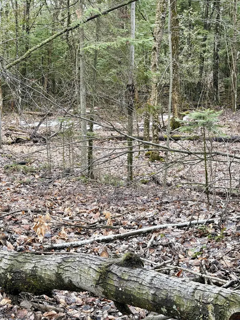 Tbd Cherry Lane Extension Newport City VT 05855