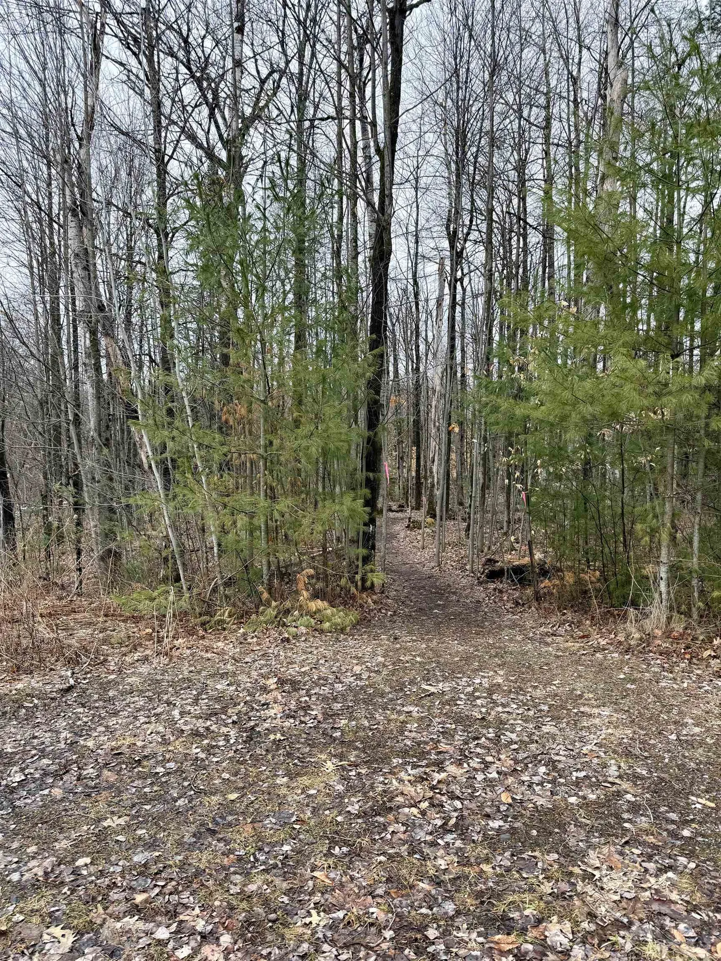 Tbd Cherry Lane Extension Newport City VT 05855