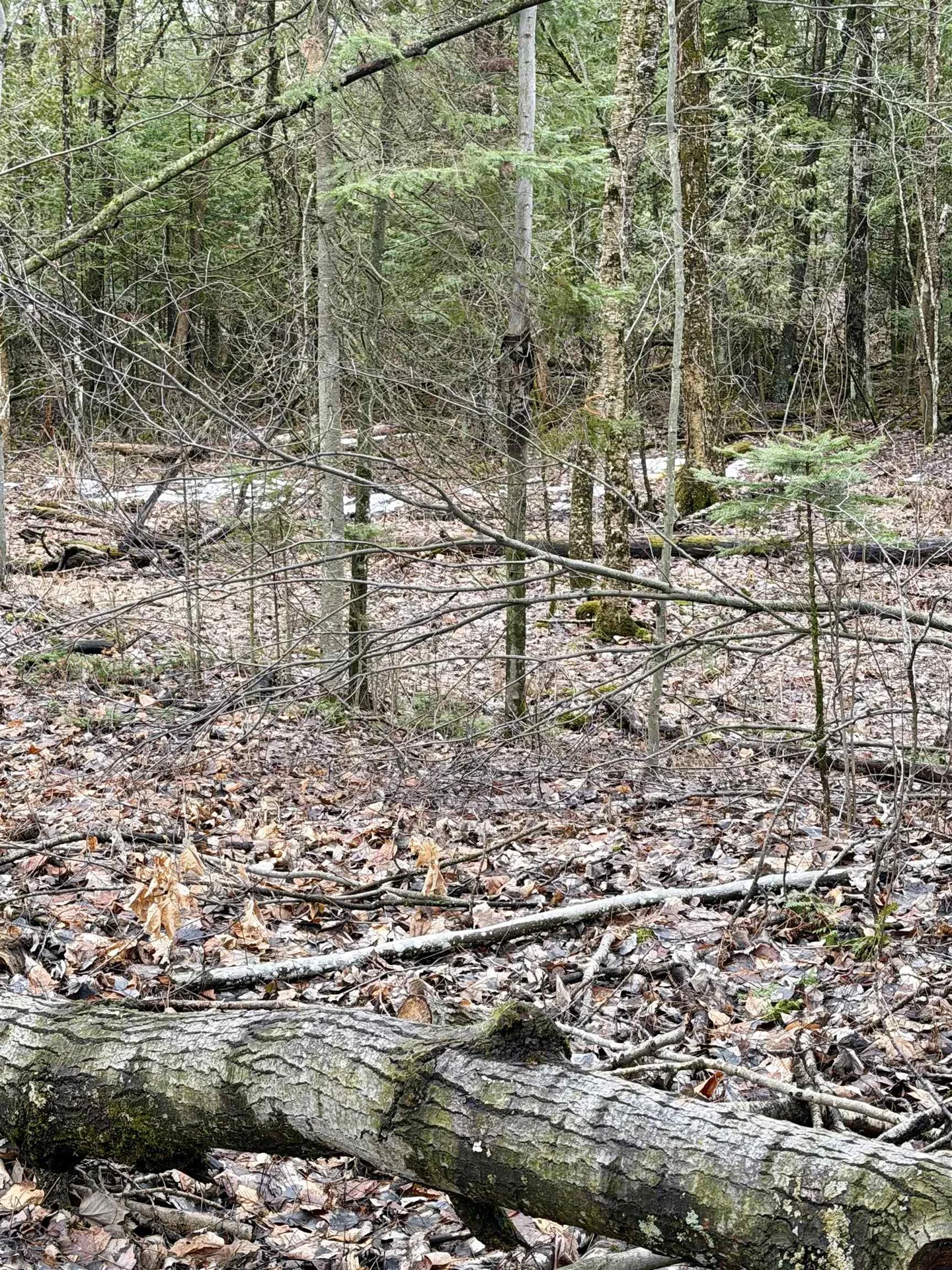 Tbd Cherry Lane Extension Newport City VT 05855