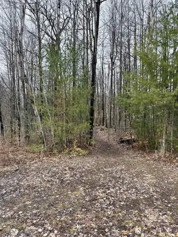 Tbd Cherry Lane Extension Newport City VT 05855