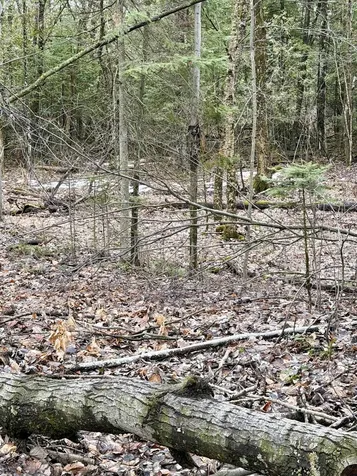 Tbd Cherry Lane Extension Newport City VT 05855