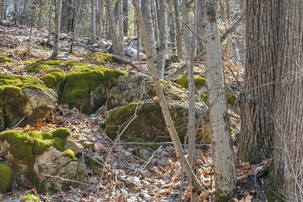 138 West Red Rock Road Colchester VT 05446