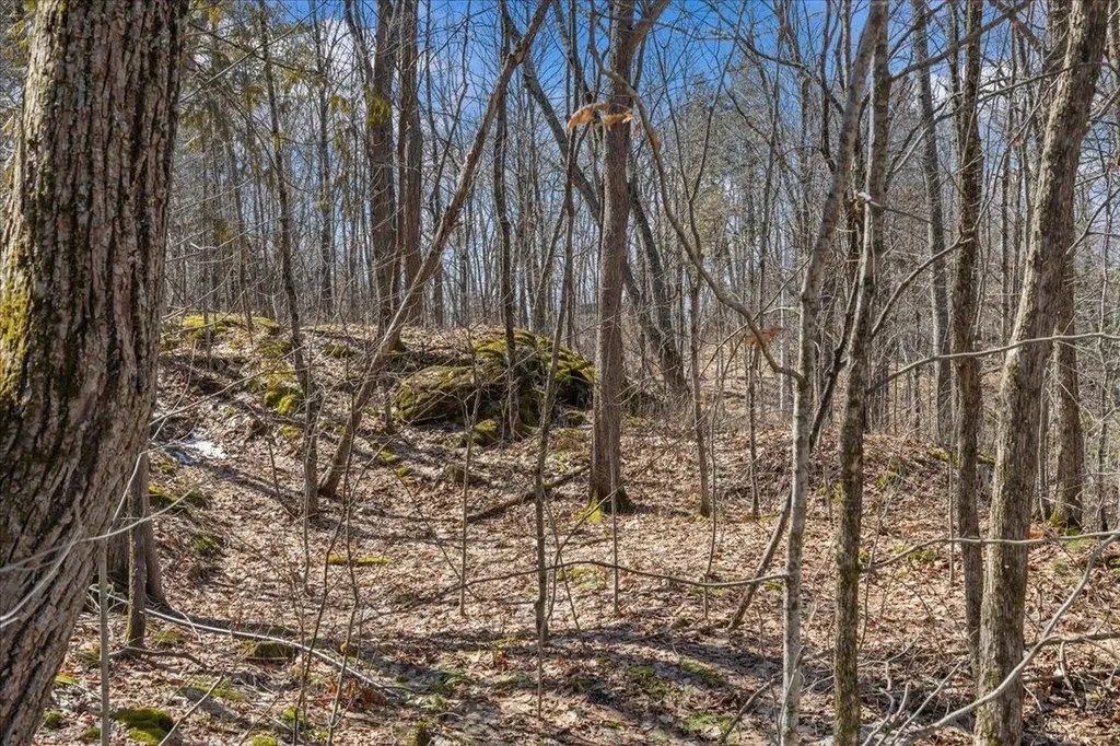 138 West Red Rock Road Colchester VT 05446