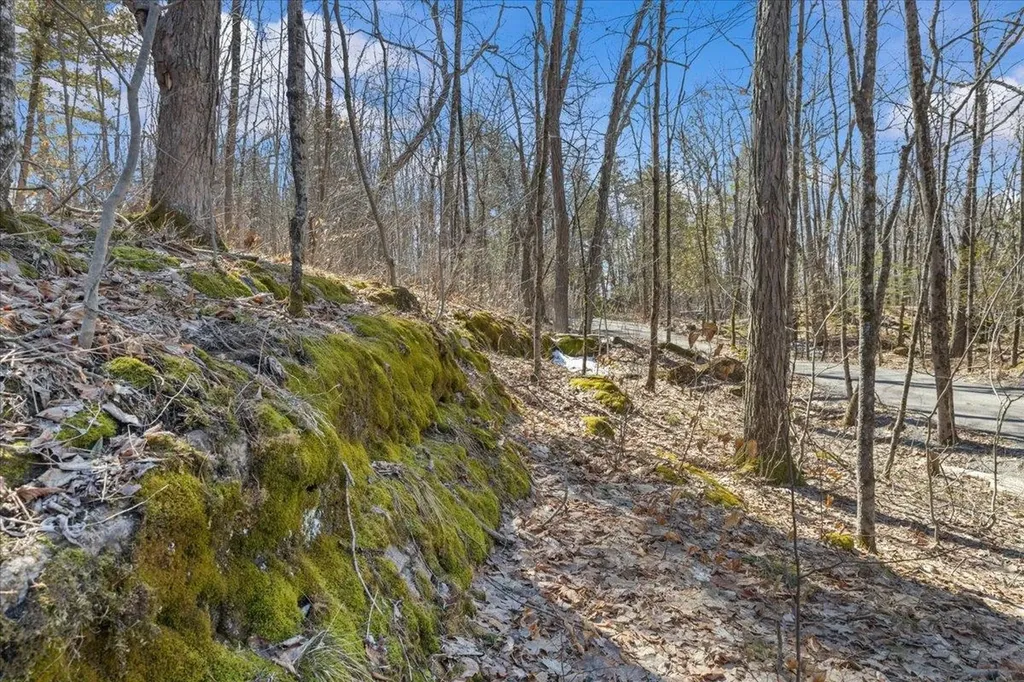 138 West Red Rock Road Colchester VT 05446