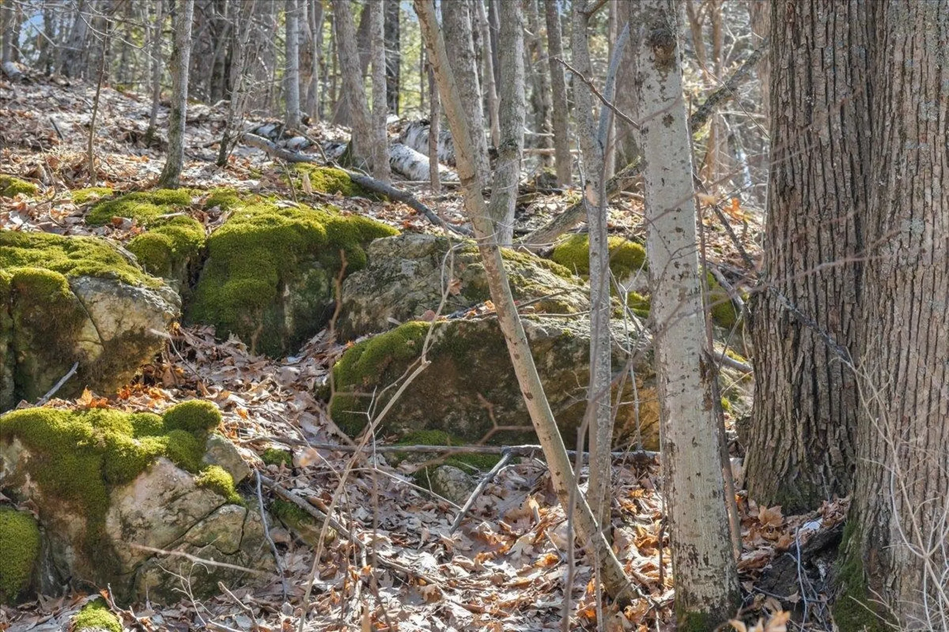 138 West Red Rock Road Colchester VT 05446