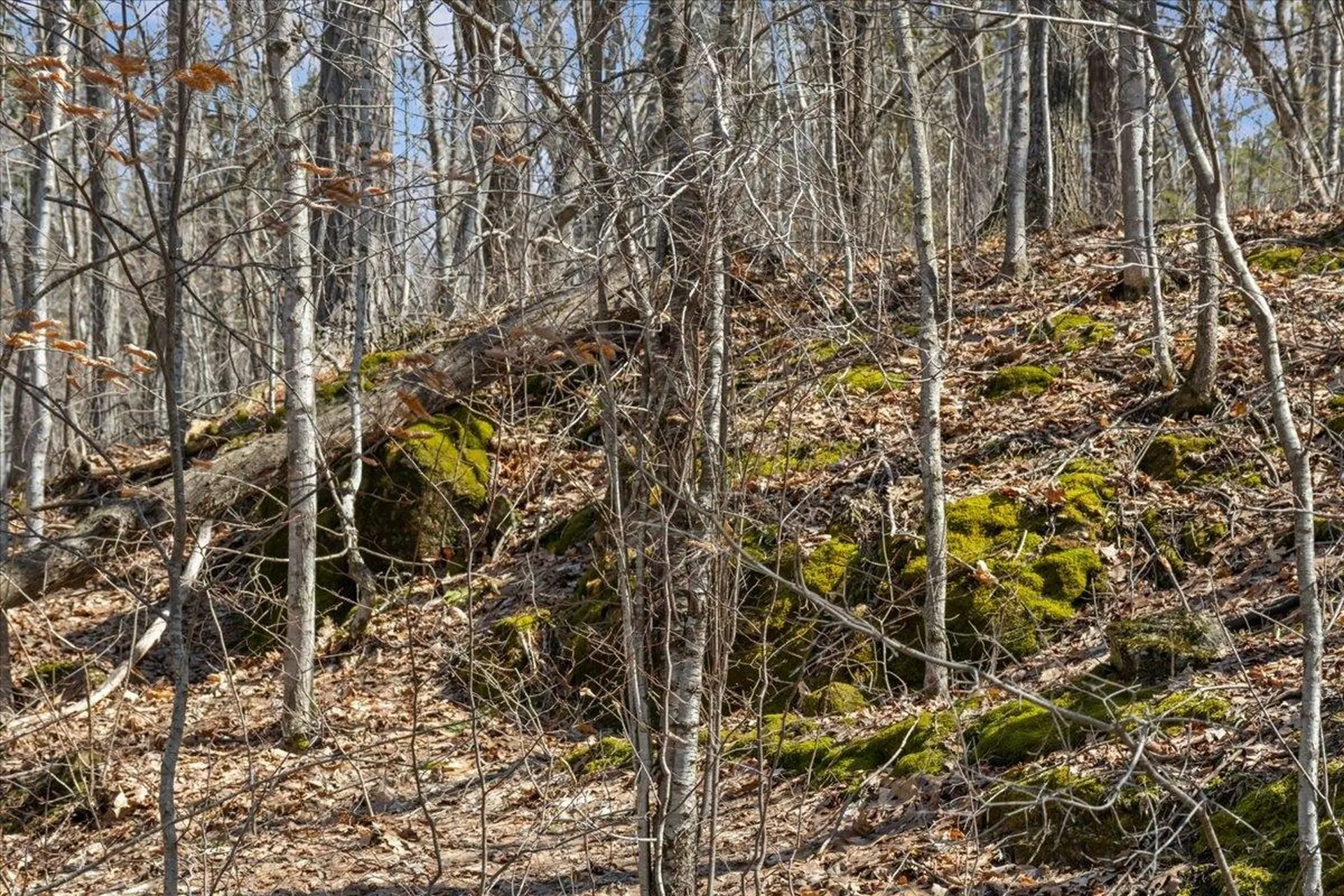 138 West Red Rock Road Colchester VT 05446