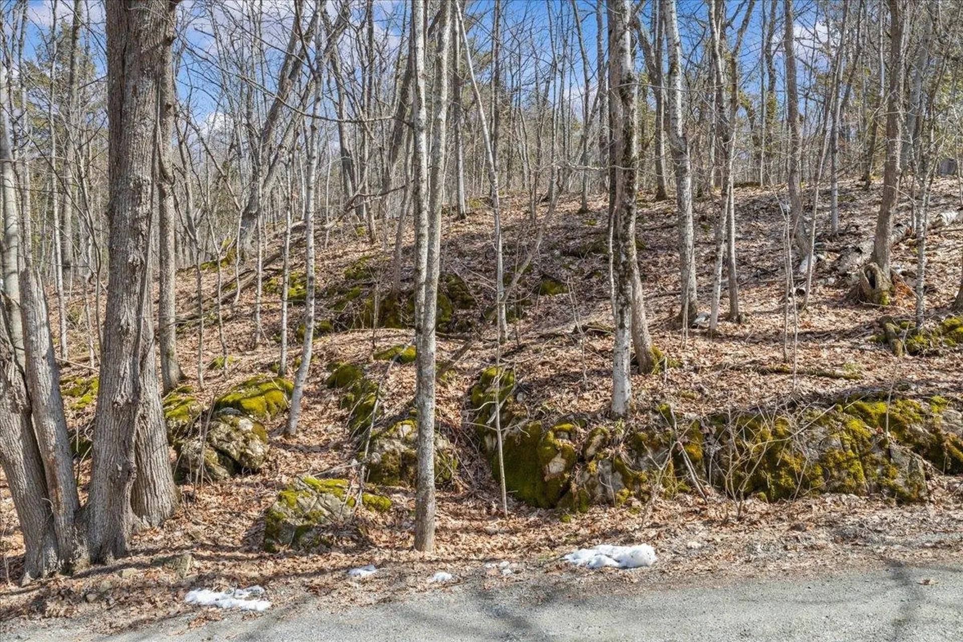 138 West Red Rock Road Colchester VT 05446