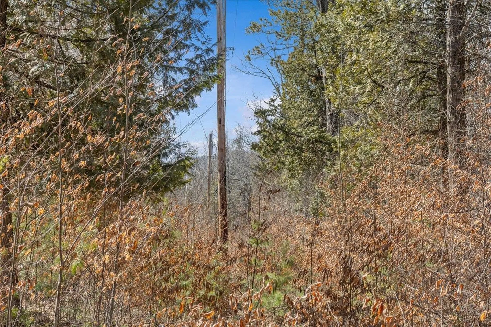 138 West Red Rock Road Colchester VT 05446