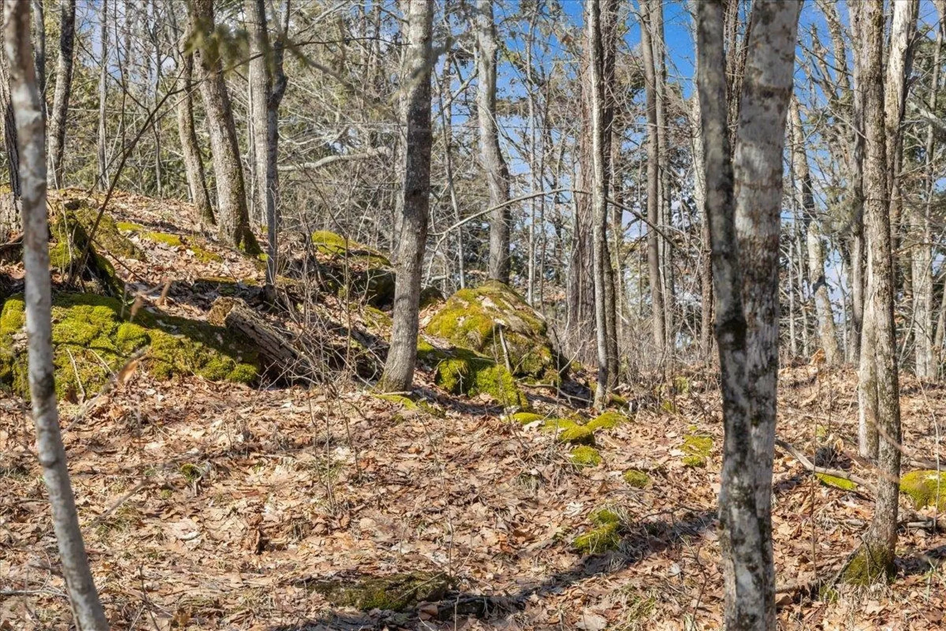 138 West Red Rock Road Colchester VT 05446