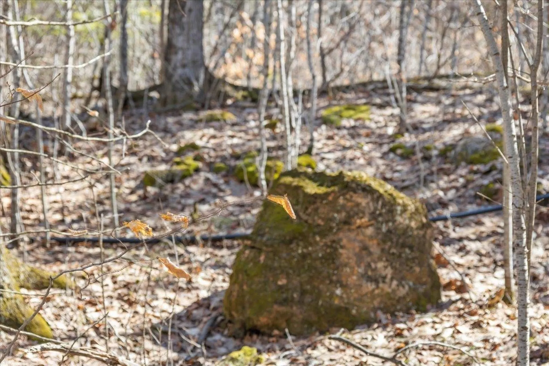 138 West Red Rock Road Colchester VT 05446