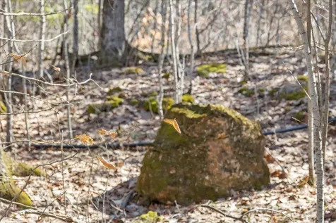 138 West Red Rock Road Colchester VT 05446