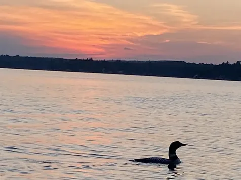 92 Cole Road Northwood NH 03261