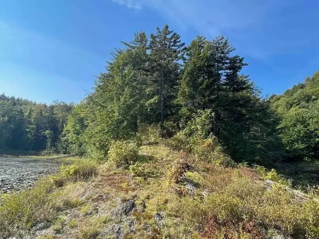00 Brown Road Worcester VT 05682