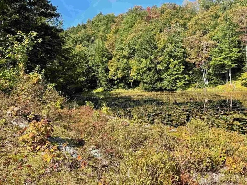 00 Brown Road Worcester VT 05682