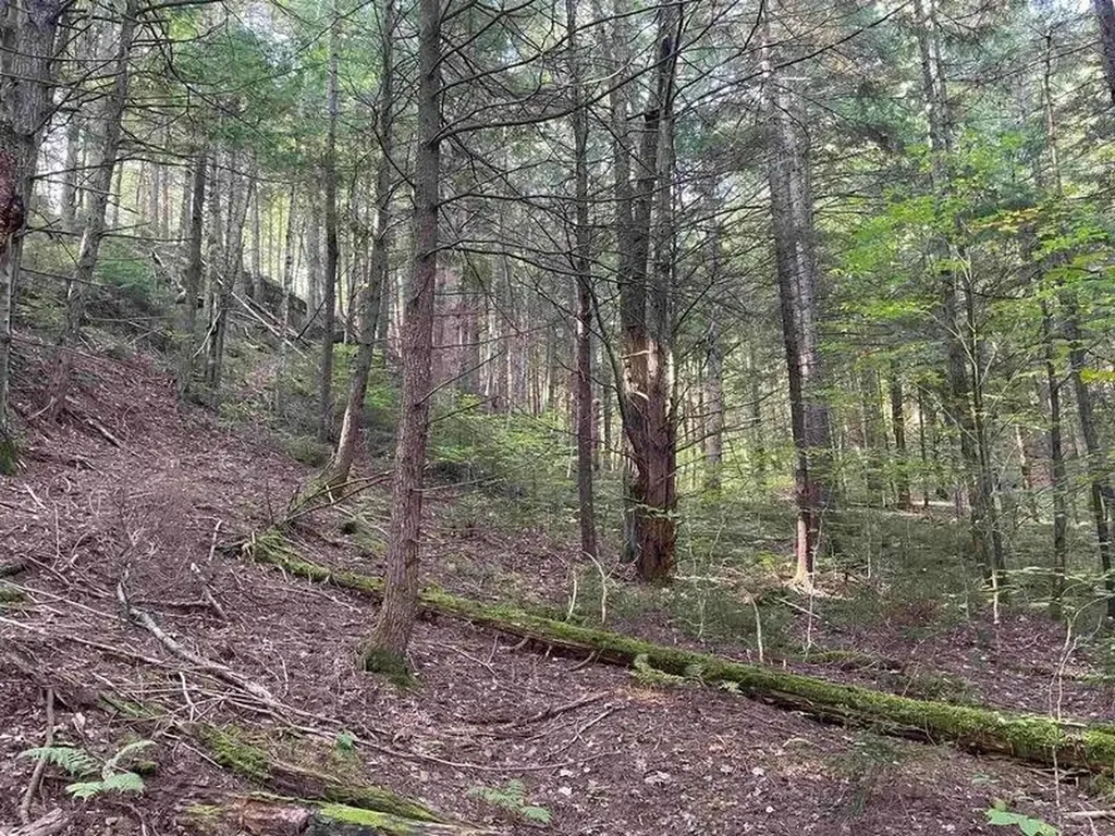 00 Brown Road Worcester VT 05682