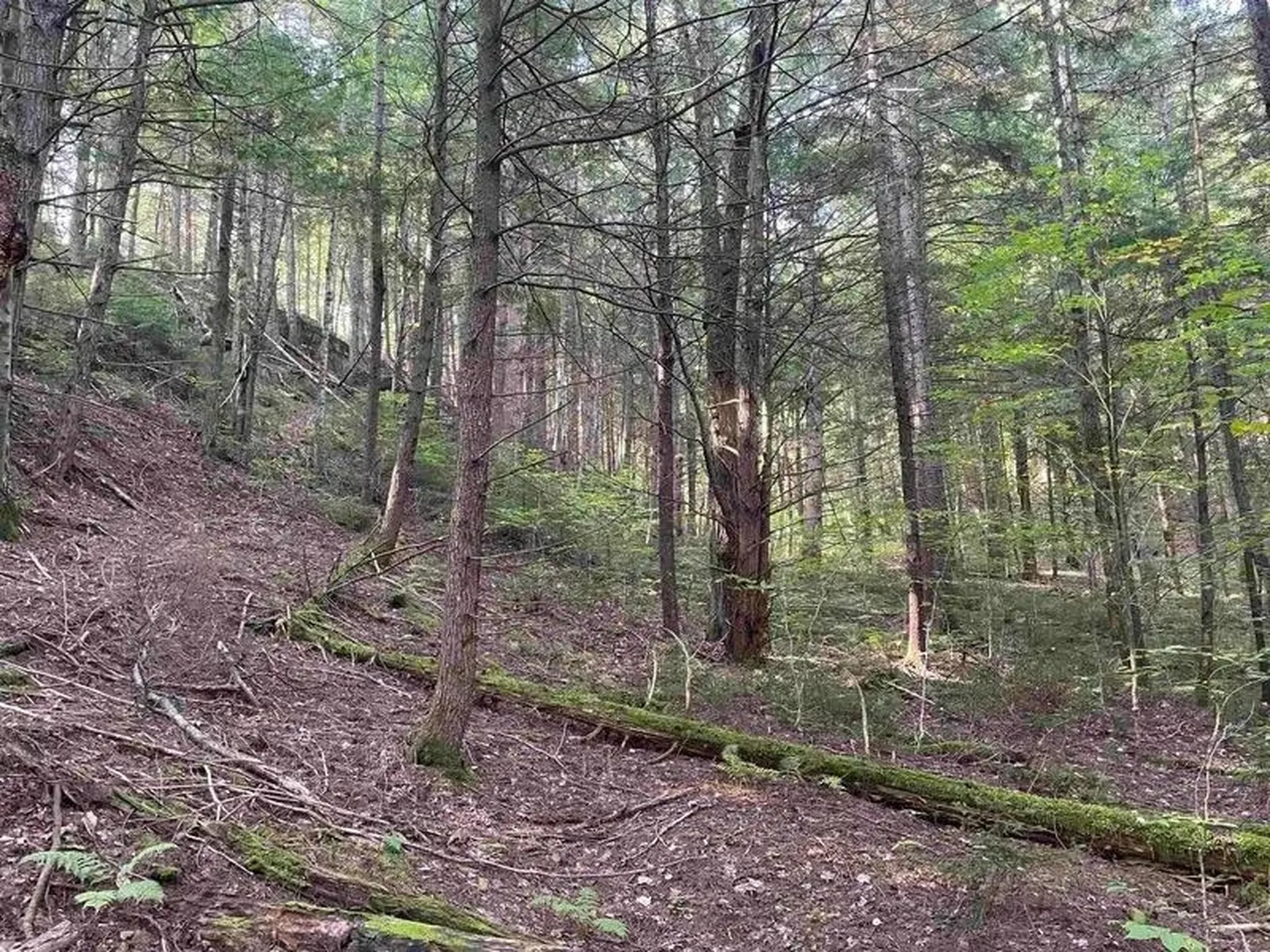 00 Brown Road Worcester VT 05682