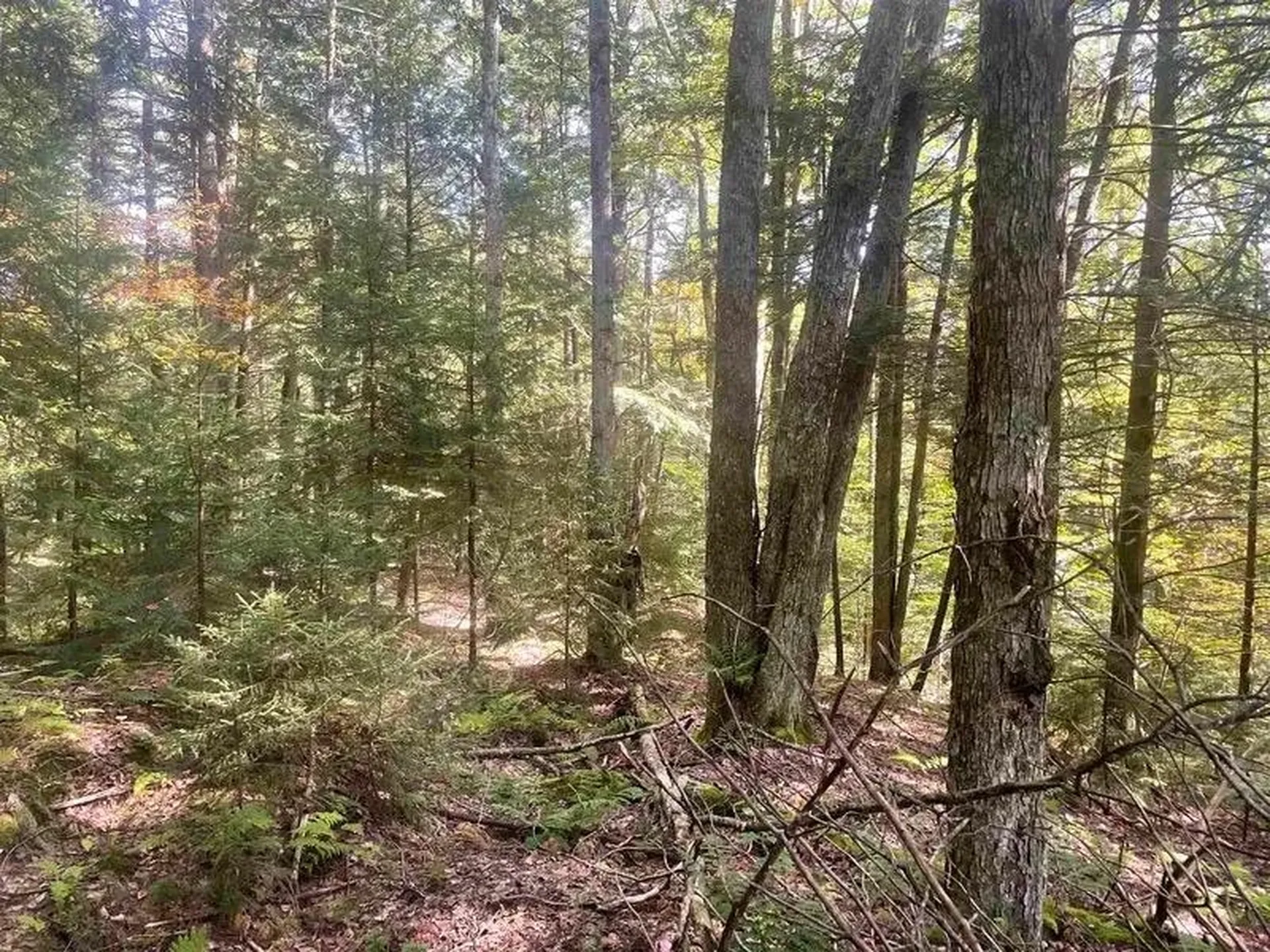 00 Brown Road Worcester VT 05682
