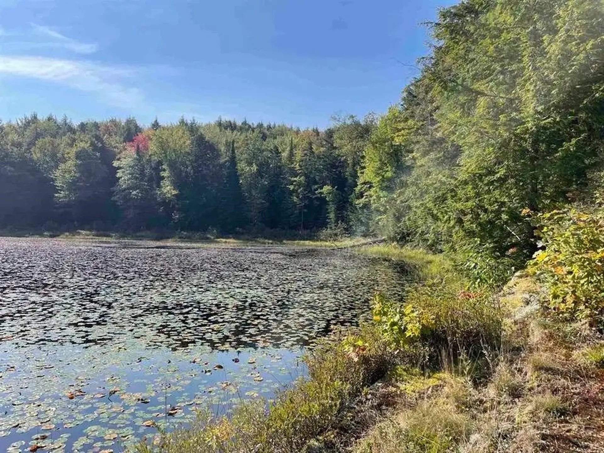 00 Brown Road Worcester VT 05682