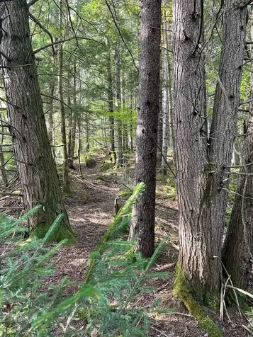 00 Brown Road Worcester VT 05682