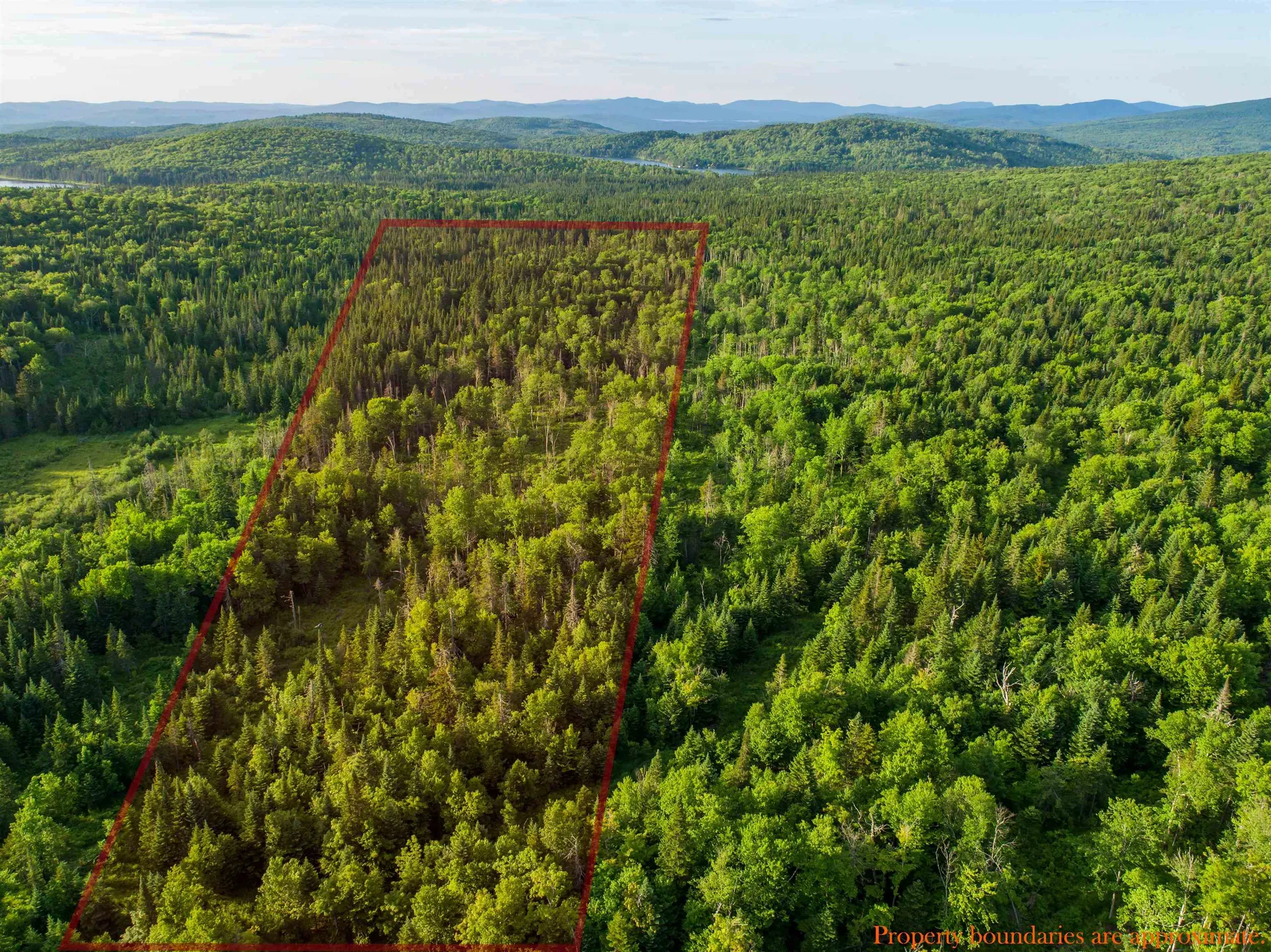 7 Diamond Pond Road Stewartstown NH 03576