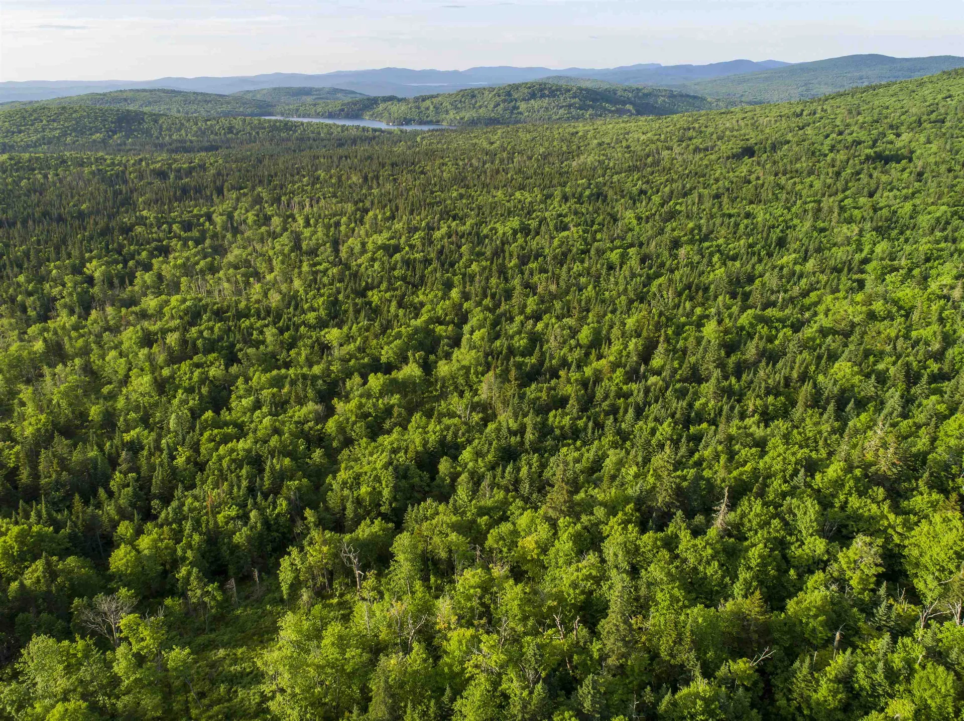 8 Diamond Pond Road Stewartstown NH 03576