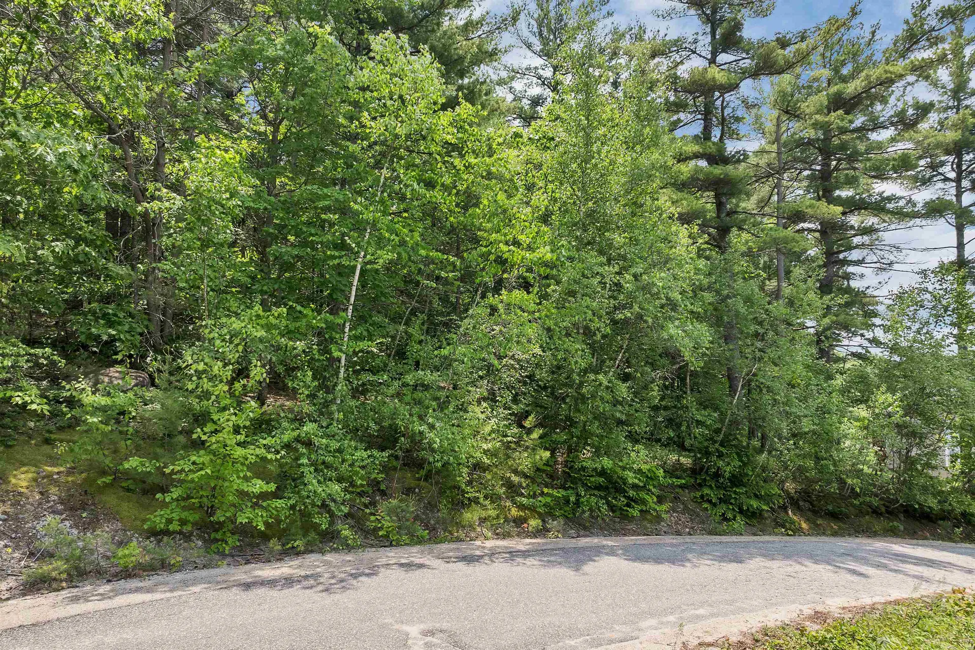 Franconia Drive New Durham NH 03855