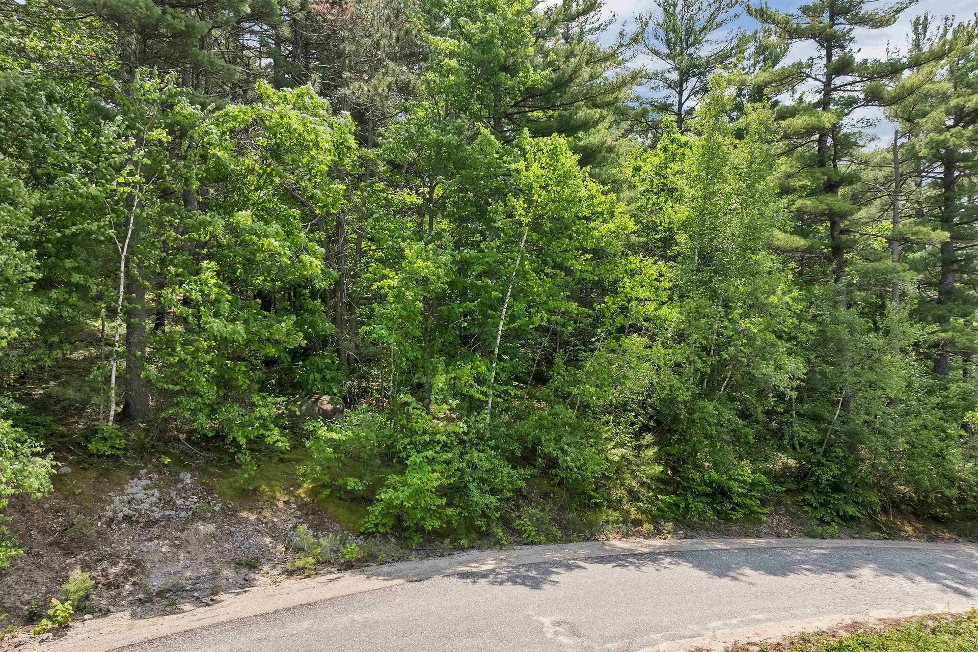Franconia Drive New Durham NH 03855