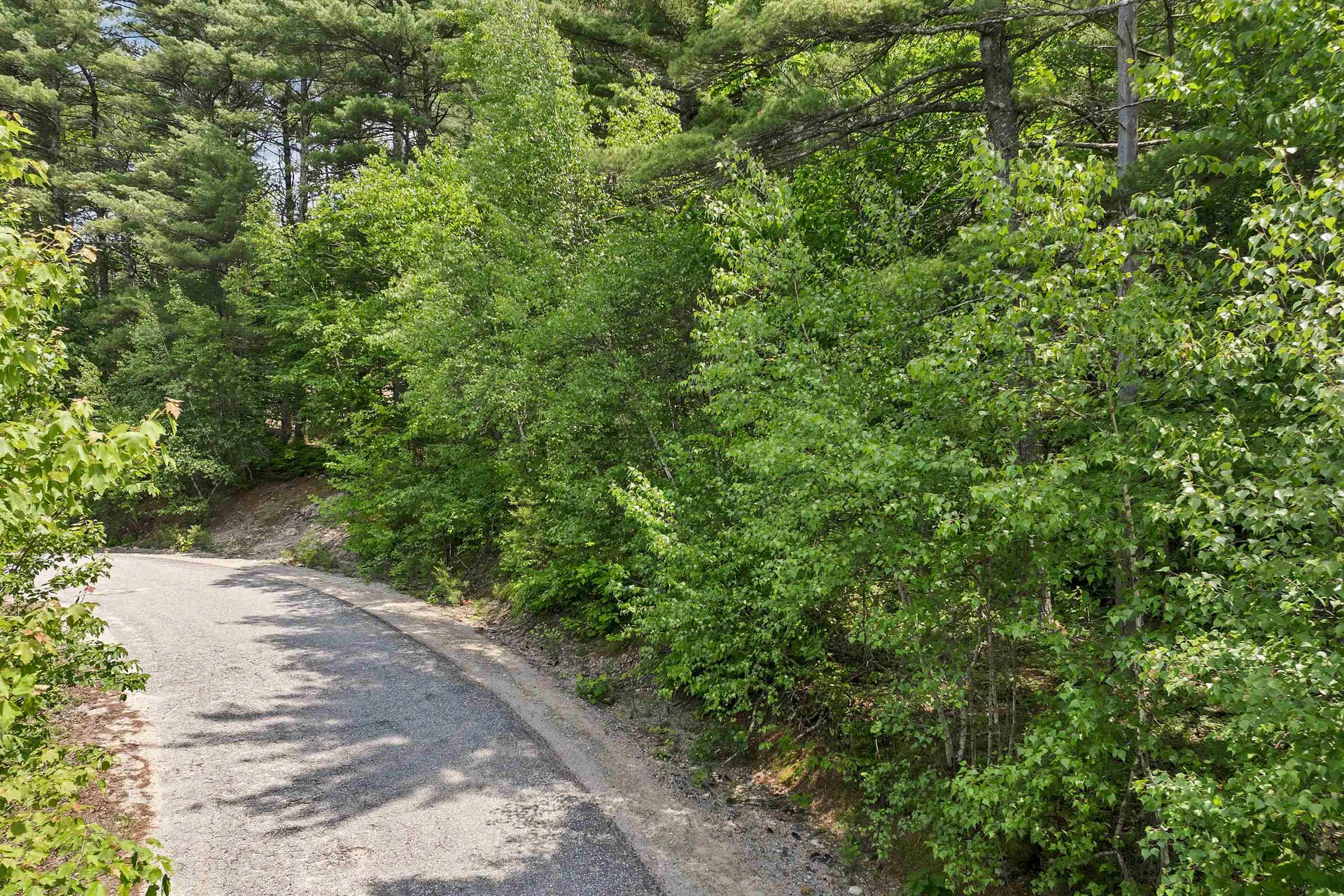 Franconia Drive New Durham NH 03855