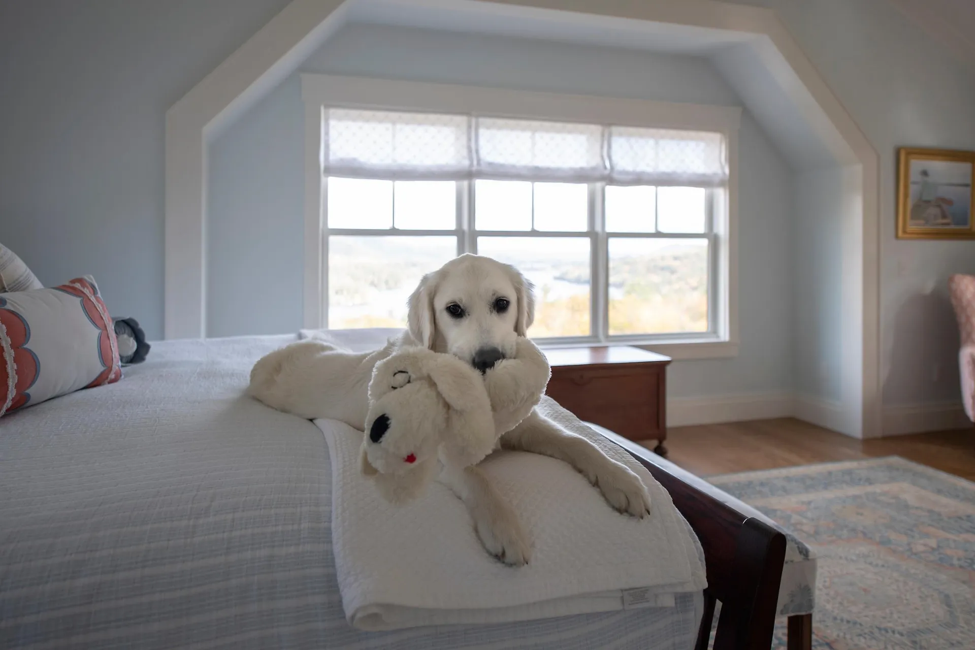 68 Ridge Road Ashland NH 03217