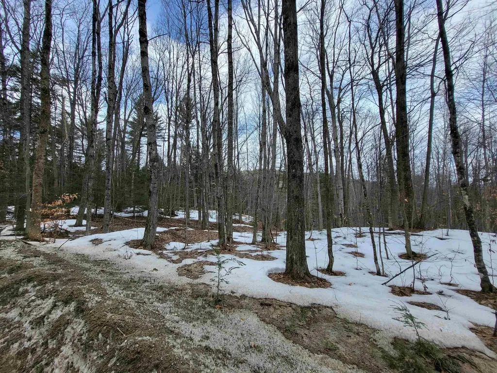 890 Washburn Road Alexandria NH 03222