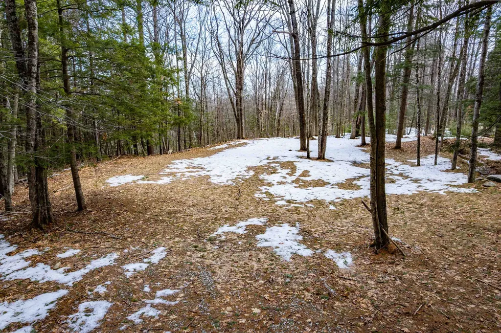 890 Washburn Road Alexandria NH 03222