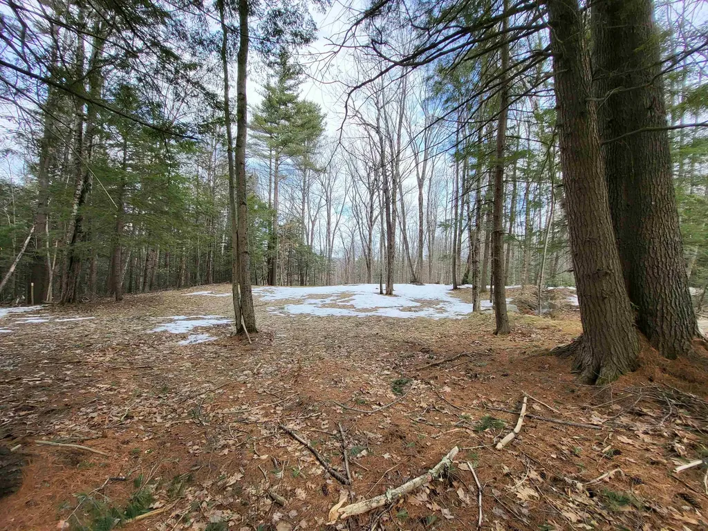 890 Washburn Road Alexandria NH 03222