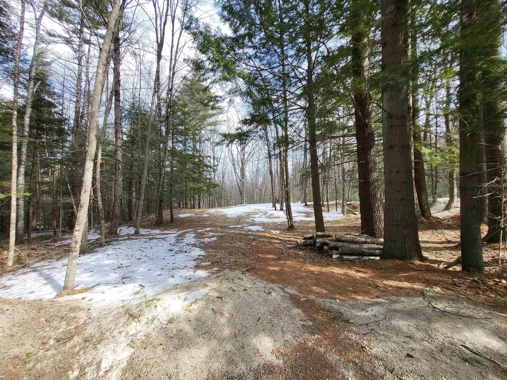 890 Washburn Road Alexandria NH 03222