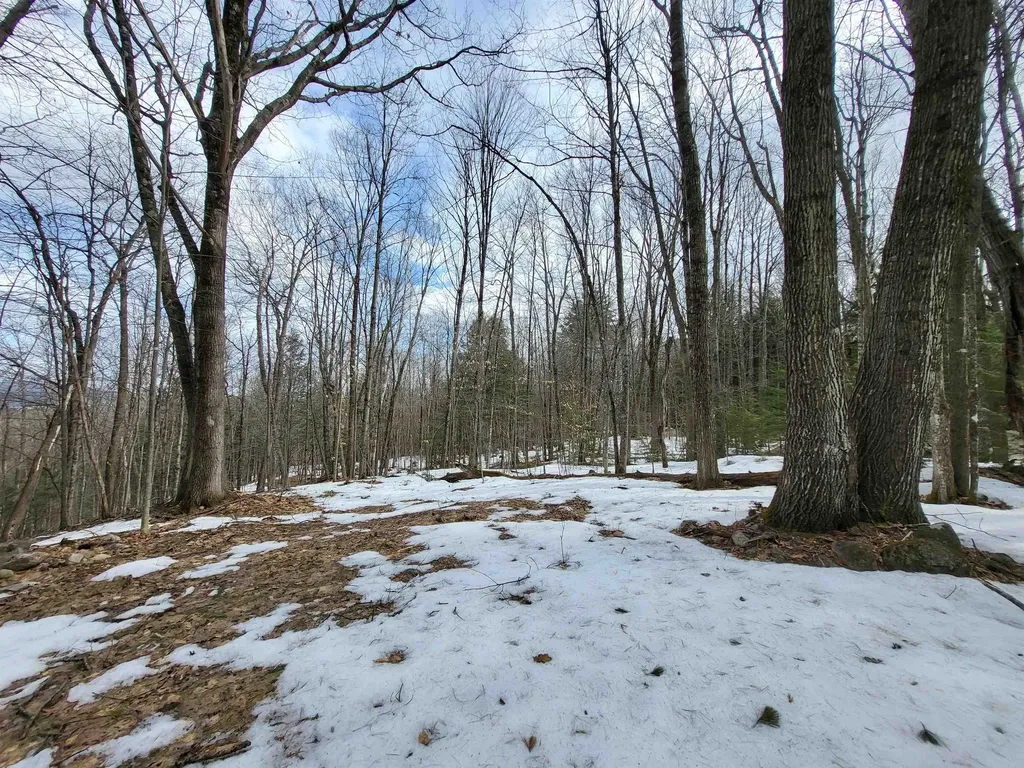 890 Washburn Road Alexandria NH 03222