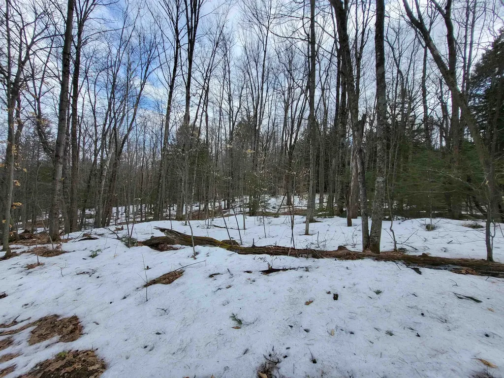 890 Washburn Road Alexandria NH 03222