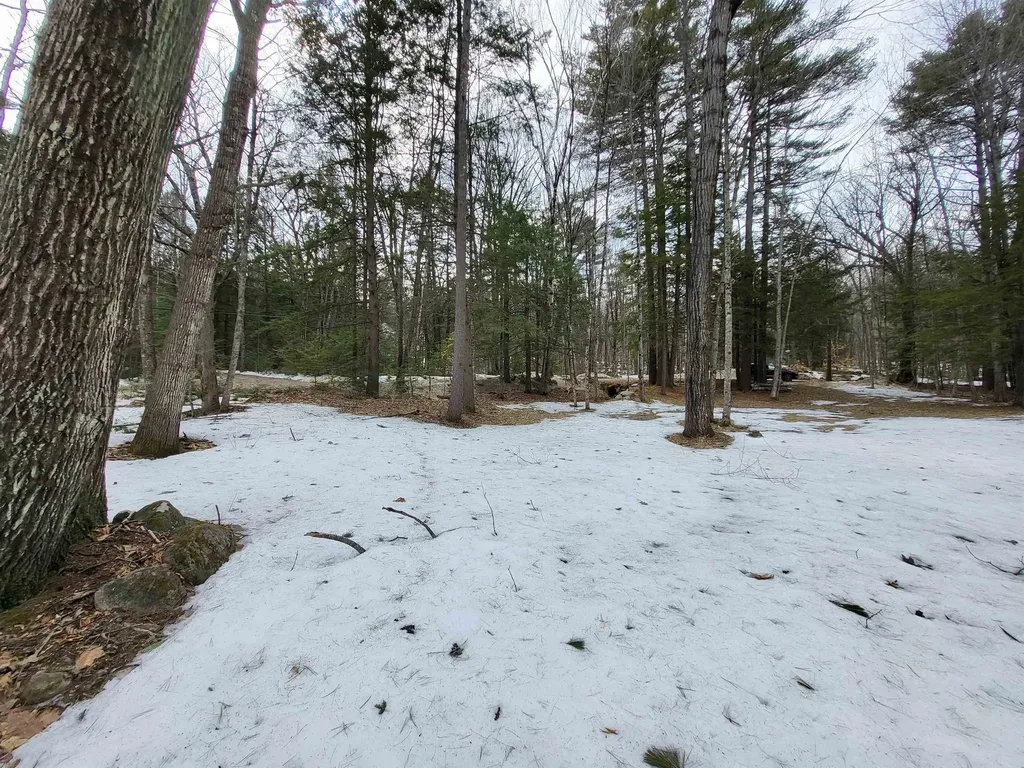 890 Washburn Road Alexandria NH 03222