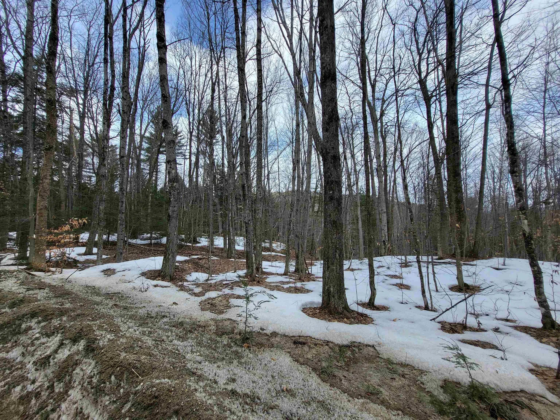 890 Washburn Road Alexandria NH 03222