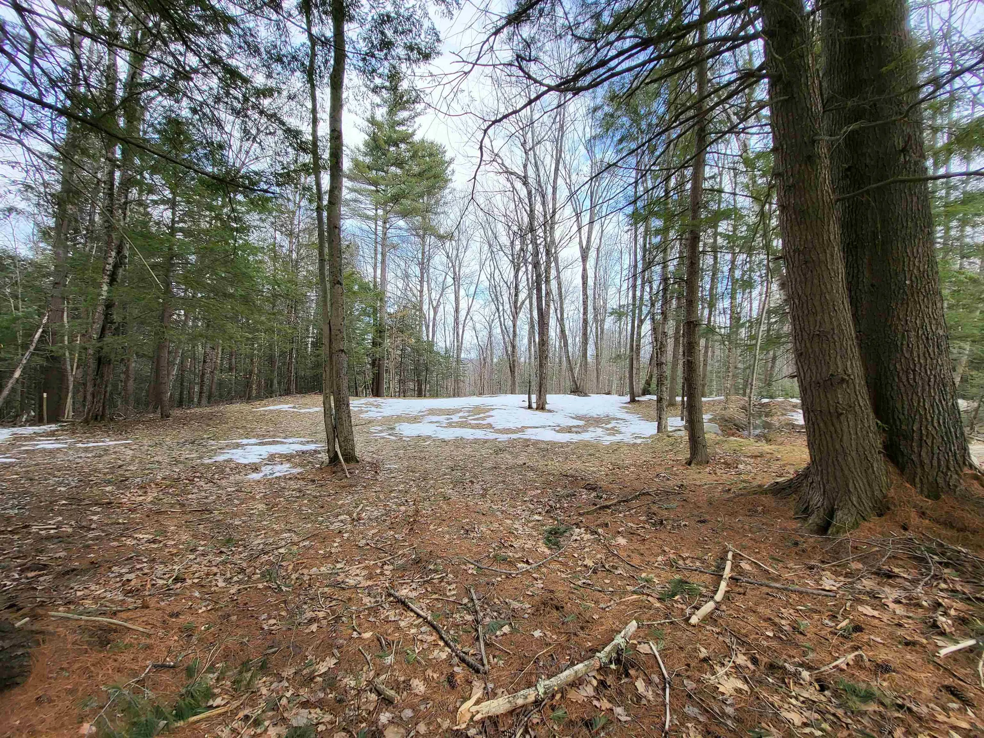 890 Washburn Road Alexandria NH 03222