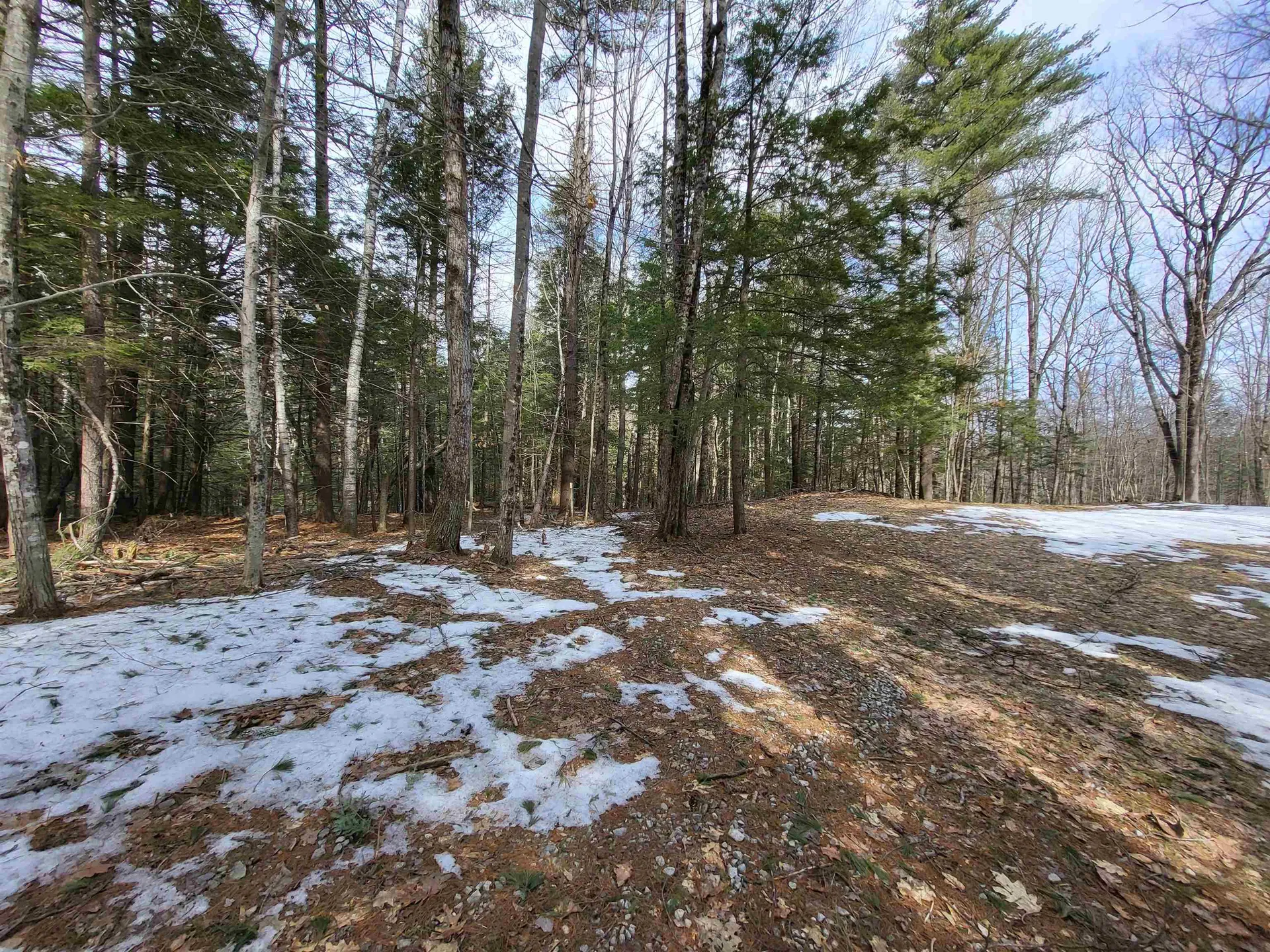 890 Washburn Road Alexandria NH 03222