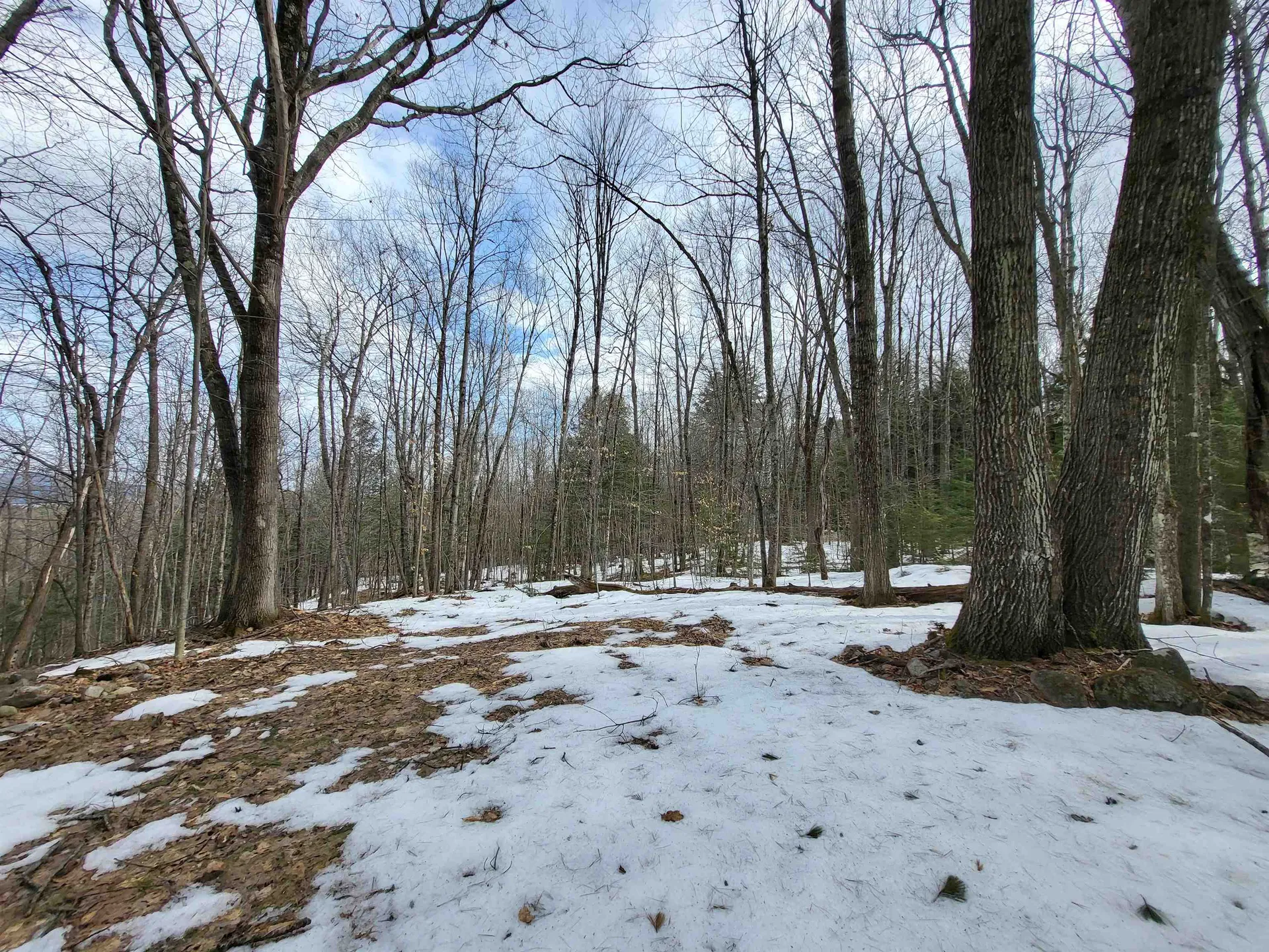 890 Washburn Road Alexandria NH 03222