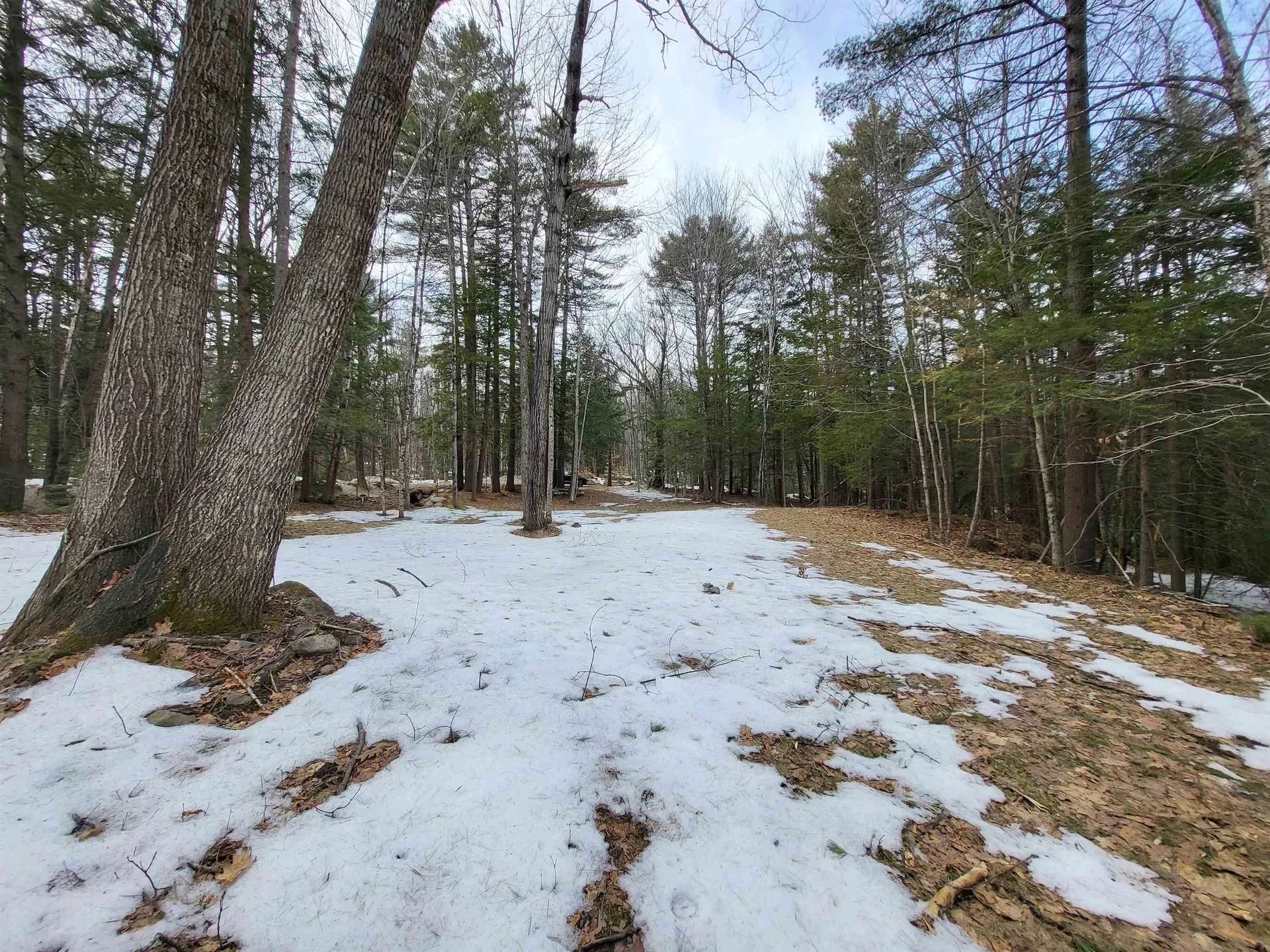 890 Washburn Road Alexandria NH 03222