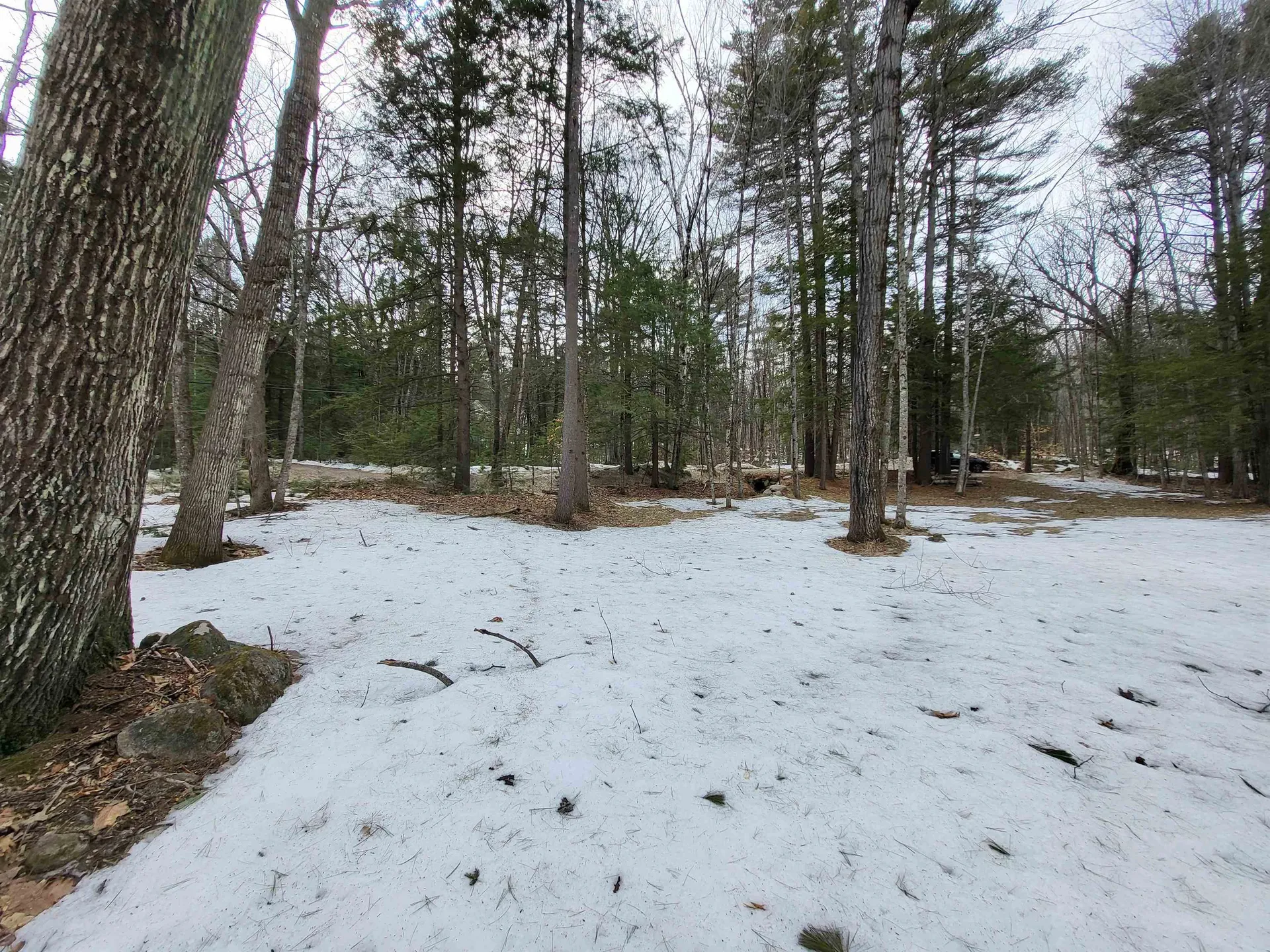 890 Washburn Road Alexandria NH 03222