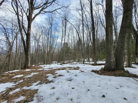 890 Washburn Road Alexandria NH 03222