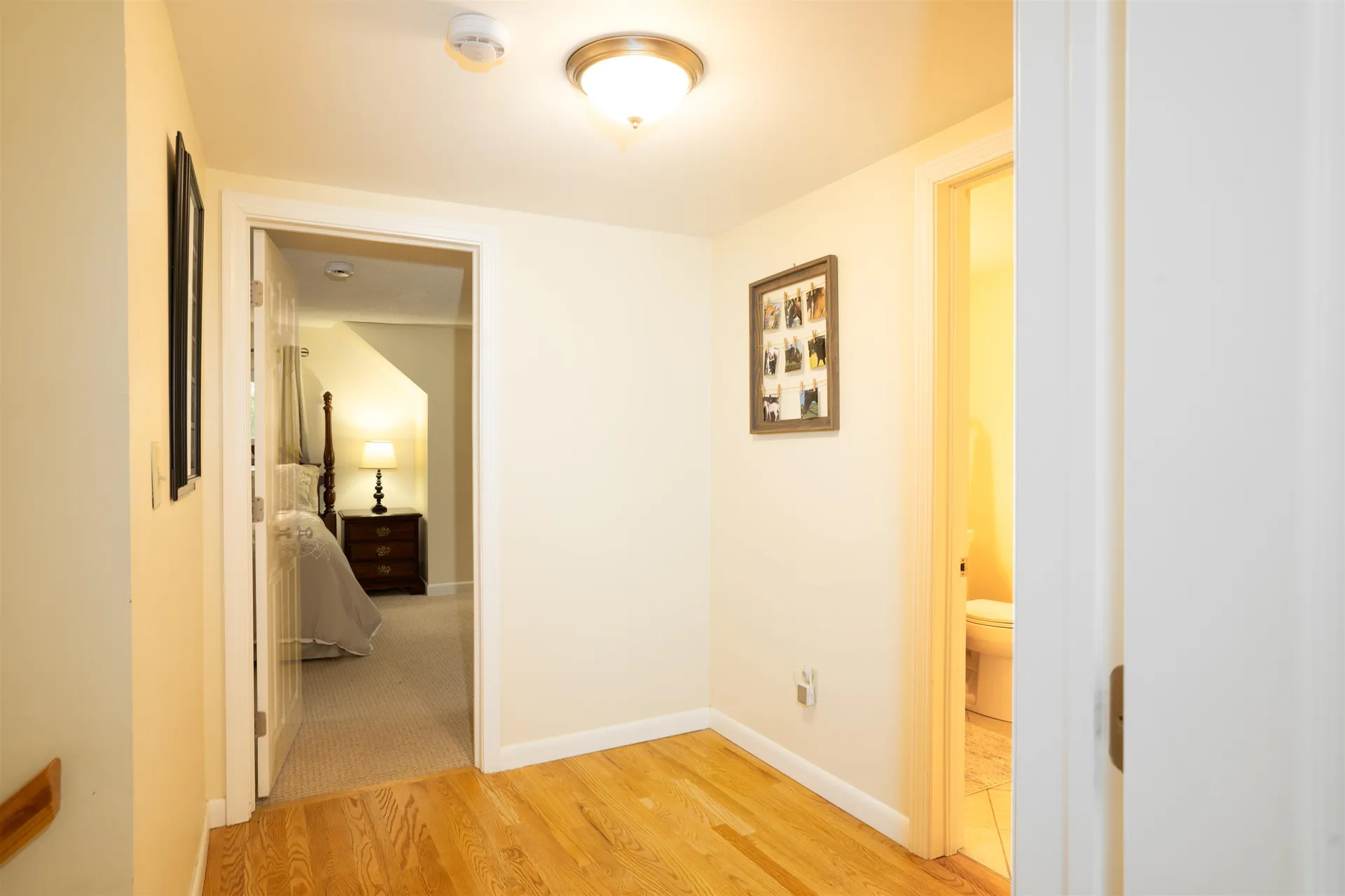 1649 East Manchester Road Manchester VT 05255