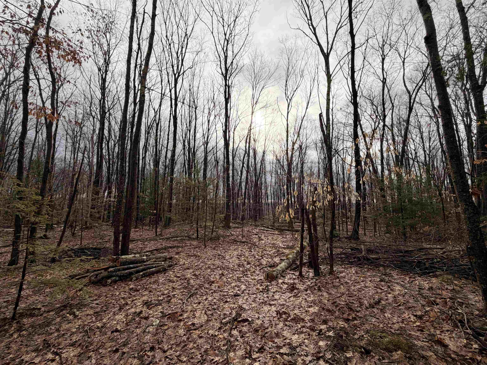 0 Old Walpole/valley View Road Keene NH 03431